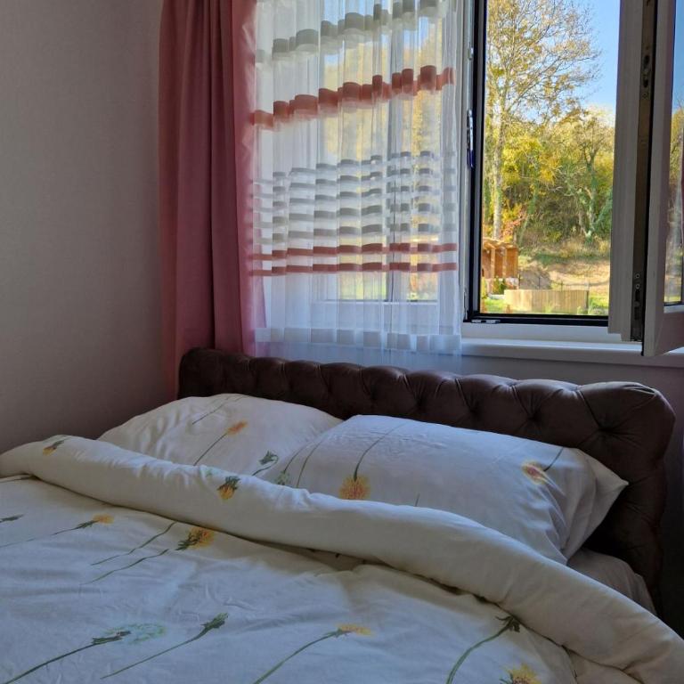 Apartman AQUARELLE sa bazenom, Delux apartman sa bazenom - Apartman sa 1 Spavaćom Sobom - 5