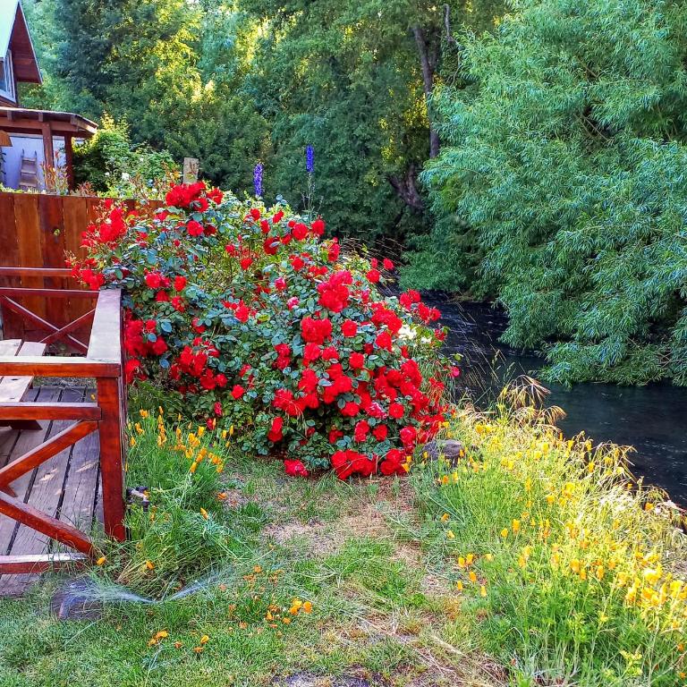 Cabaña del Arroyo - Chalet - 13