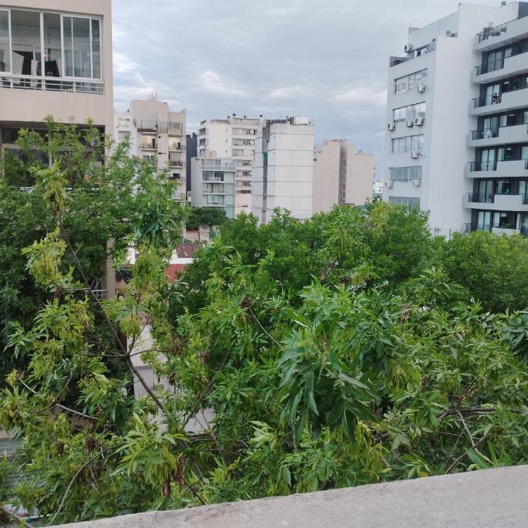 Departamento 2 amb - Apartamento de 1 dormitorio - 4