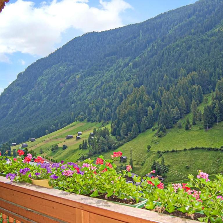 Ferienwohnung In Kapplpaznaun - Apartment mit 2 Schlafzimmern - 4