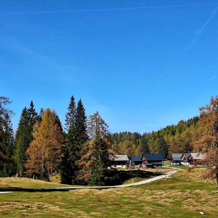 Wiedehopf - Ferienhaus - 30
