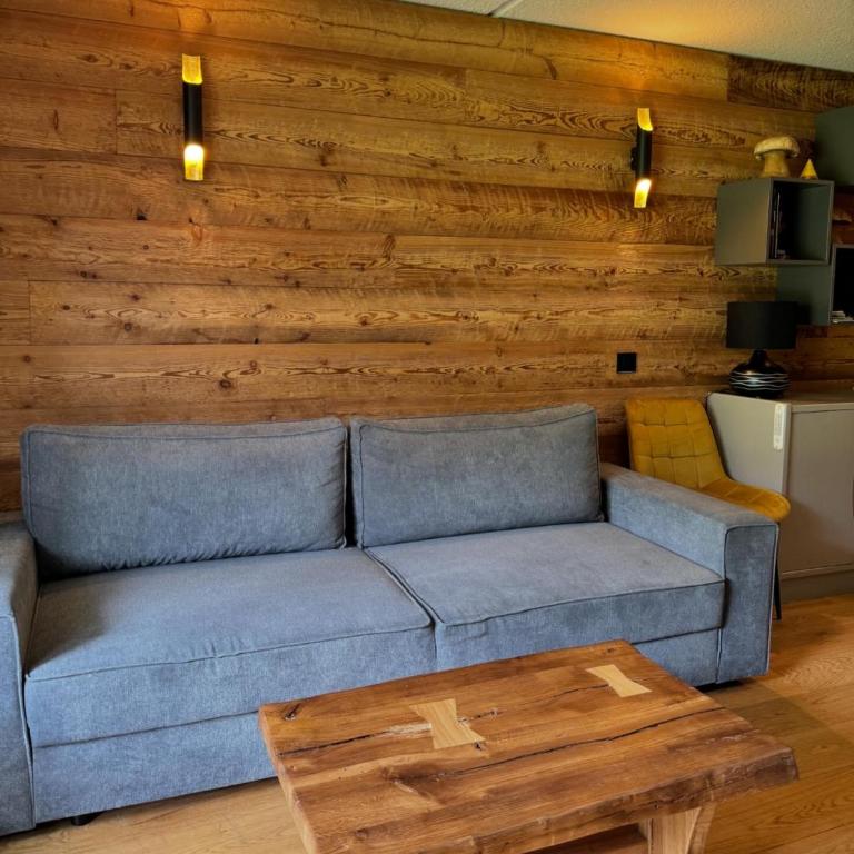 Superbe studio de montagne, au pied des pistes de ski, classé 3 étoiles - Appartement 2 Chambres - 1