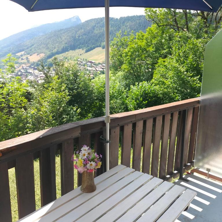 Studio belle vue sur les montagnes - One-Bedroom Apartment - 11