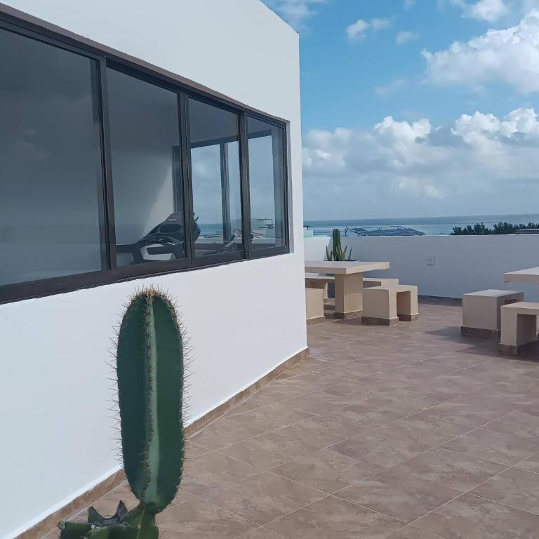 Beautiful Studio Very Close To The Beach and 5th Avenue - Apartment - 17