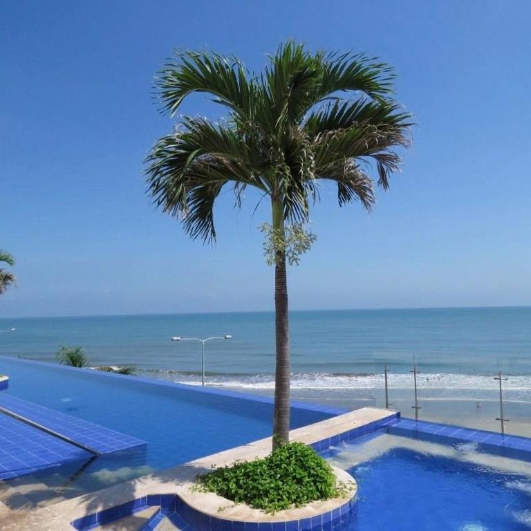 Amplios Aptos de Lujo Frente a la Playa a 5 Minutos del Centro y del Aeropuerto, en Edificio con Piscina, Jacuzzi, Sauna, Gimnasio, Turco y Seguridad las 24 hs. - Apartamento - 14