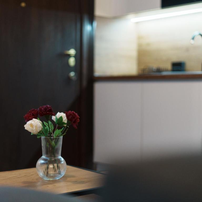 BD Old Town Suite - Apartman sa 1 Spavaćom Sobom - 25