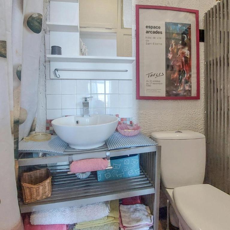 Awesome Apartment In Saint-Étienne With Wifi - Appartement 1 Chambre - 10