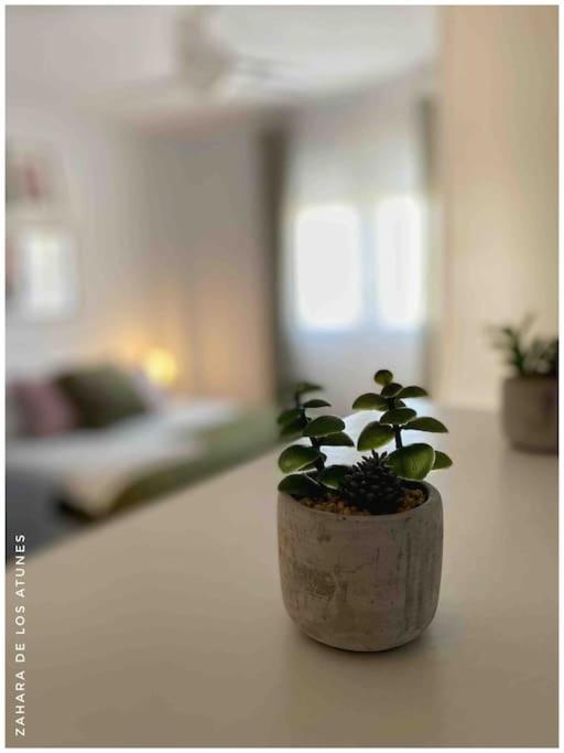 Casa en Zahara de los atunes - Two-Bedroom Apartment - 31
