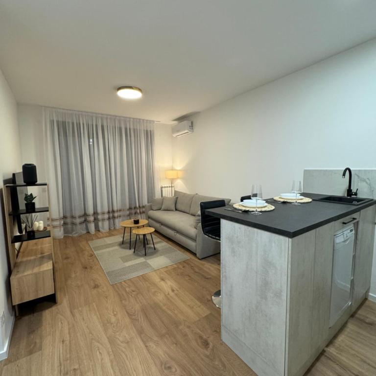 Apartman V park - Apartman sa 1 Spavaćom Sobom - 13