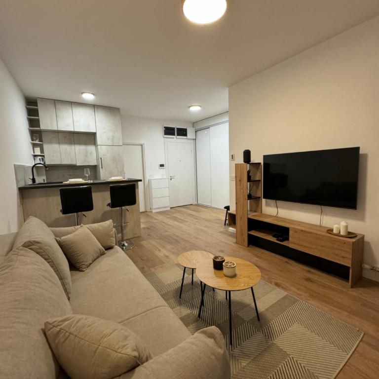 Apartman V park - Apartman sa 1 Spavaćom Sobom - 1