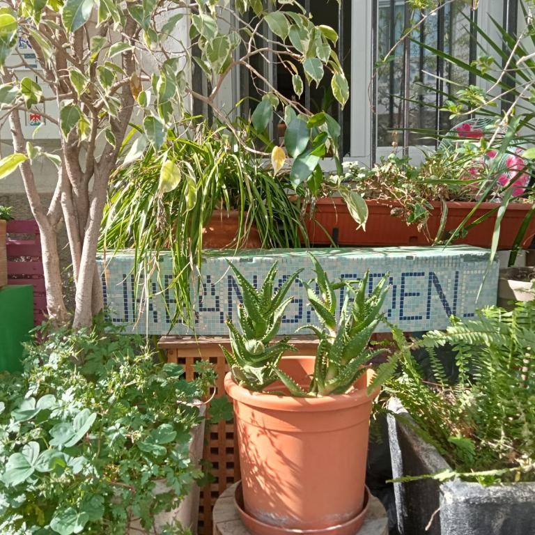 Un jardin en Ville - Apartamento de 1 dormitorio - 12