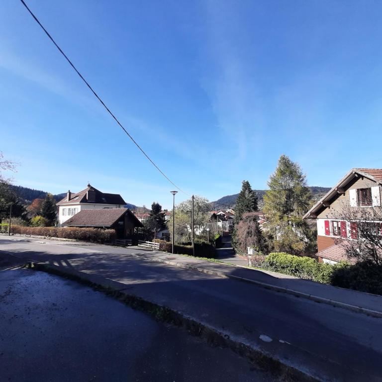 F2 lumineux en centre ville - Gerardmer - Appartement 1 Chambre - 10