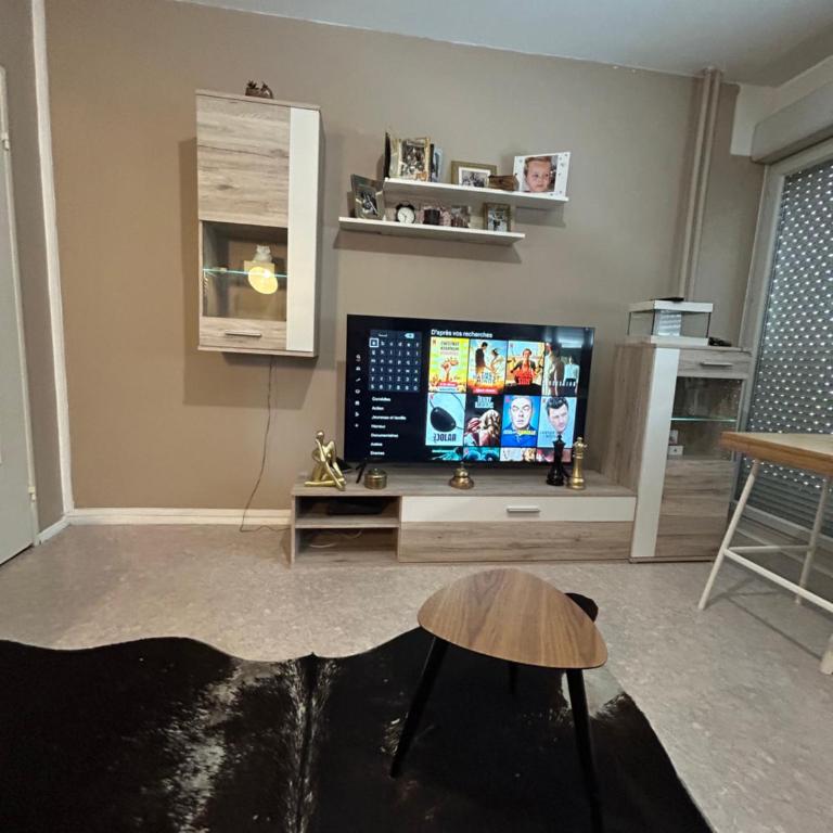 Strasbourg Apartment with parking - Appartement 2 Chambres - 33