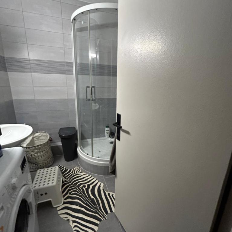 Strasbourg Apartment with parking - Appartement 2 Chambres - 17