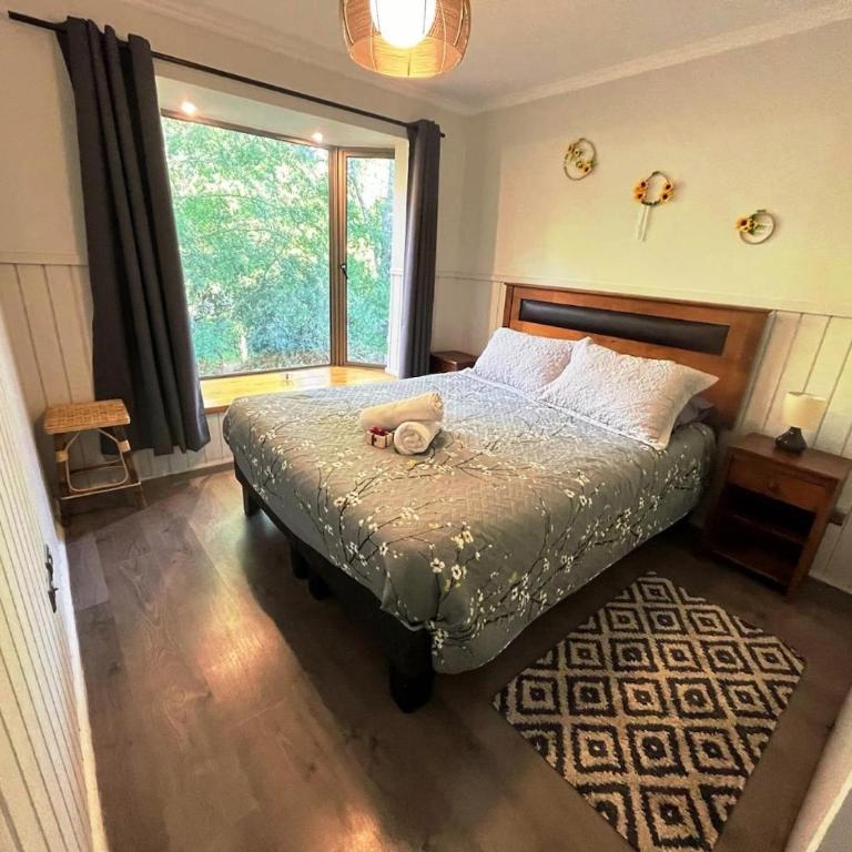 Mágico lugar en pucon - Apartamento de 1 dormitorio - 3