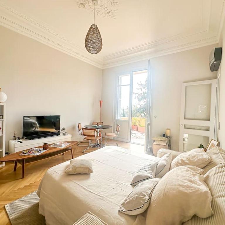 Appartement exceptionnel belle époque avec grande terrasse plein sud - Appartement 2 Chambres - 19