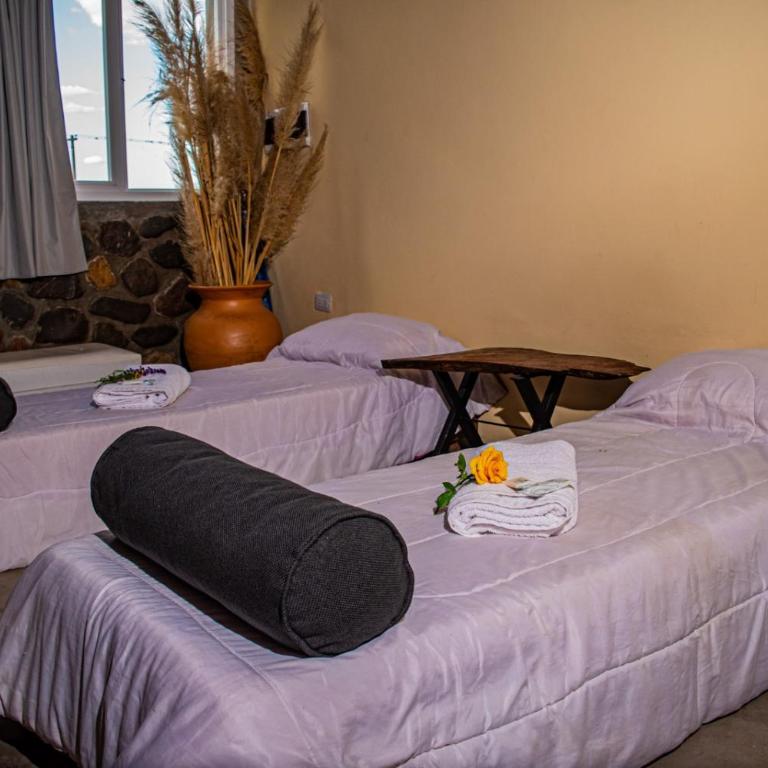 Cabañas 2Tierras - Casa con 1 dormitorio - 23