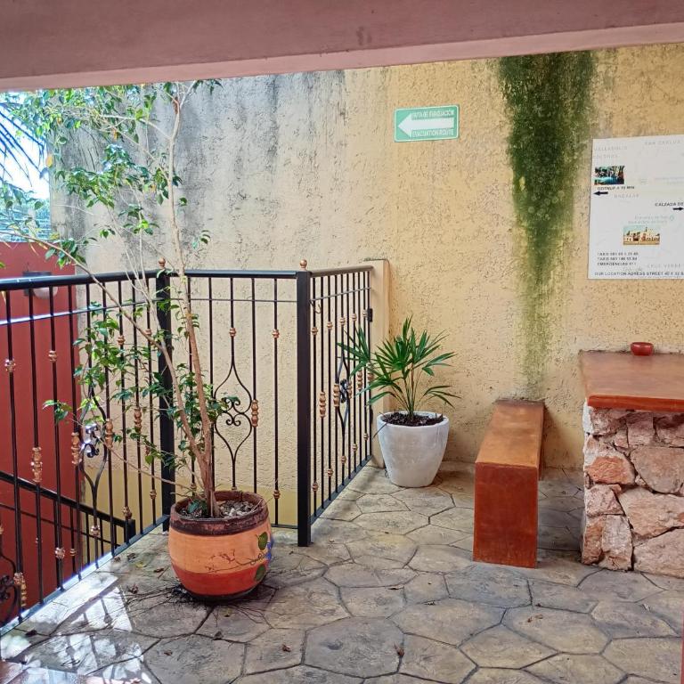 Hospedaje casa Yuca - Habitación Doble Estándar con 2 camas dobles - 8
