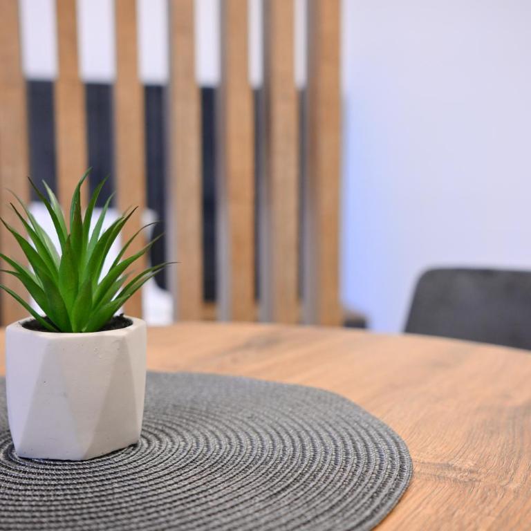 A&S Apartmani - Apartman sa 1 Spavaćom Sobom - 3