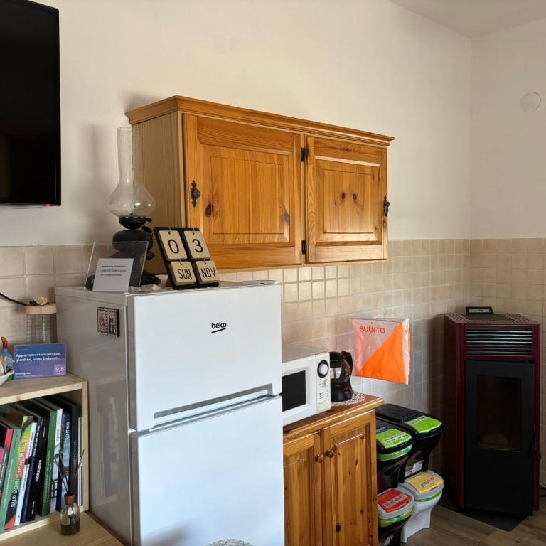 Appartamento luminoso, giardino, vista Dolomiti. - Appartamento con 2 Camere da Letto - 39
