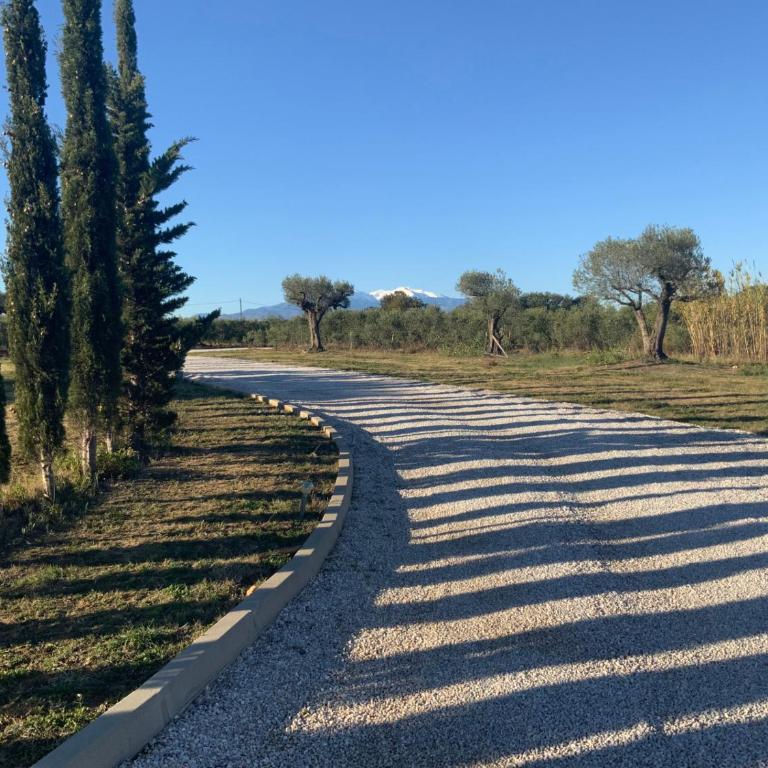 Perpignan dans OLIVERAIE très beau gîte 11 pers - Villa con Piscina Privata - 38