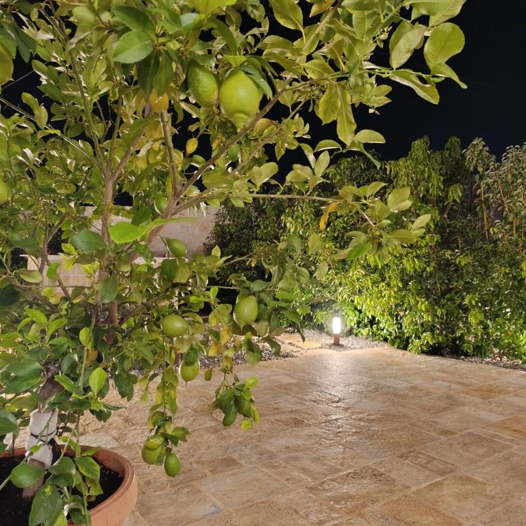 Valle d'Itria IN - Villa con 2 Camere da Letto - 30