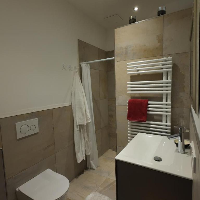 Penthouse Julia nähe Badesee mit Infrarotsauna -Zell am See Kaprun - Apartment mit 2 Schlafzimmern und Gartenblick - 25