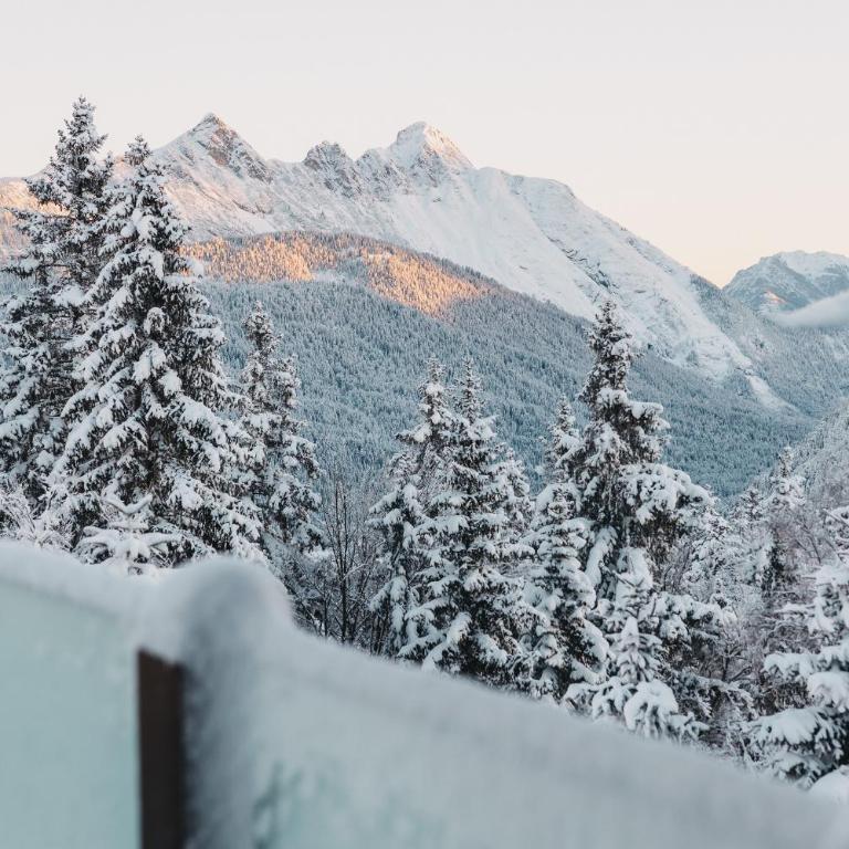 CHALET G12 - Mountain Luxury Apartments by Peak Stay - Luxury Chalet with Private Spa - 9