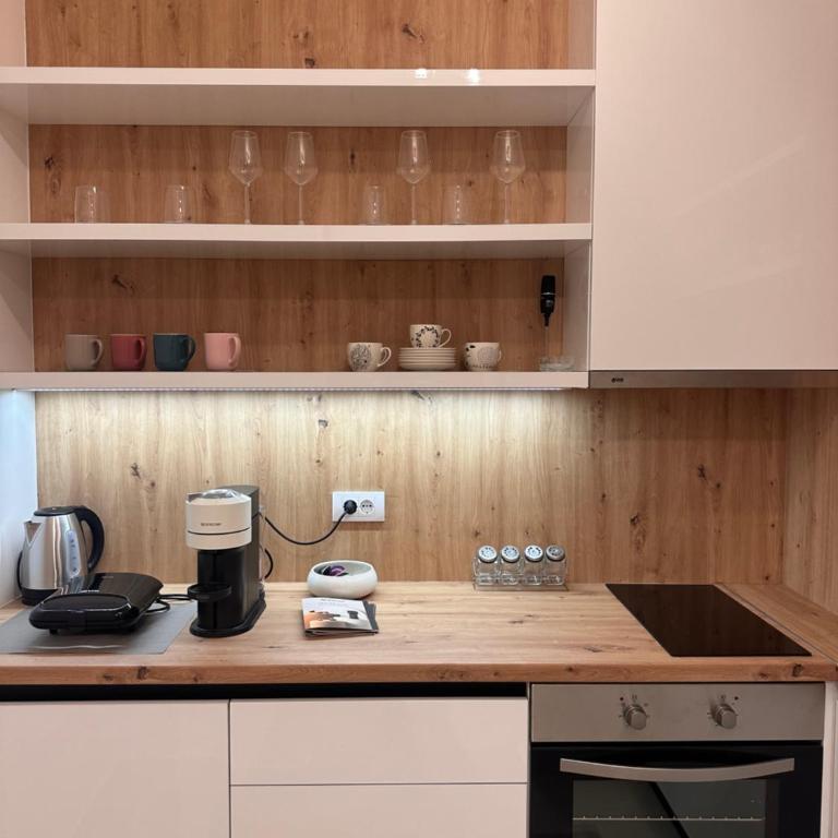 Apartman Aleksić - One-Bedroom Apartment - 7