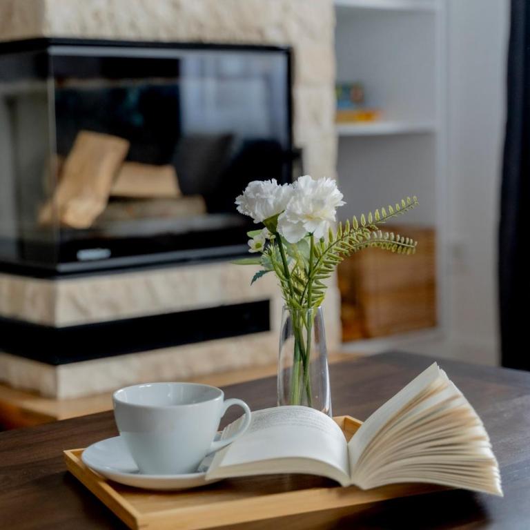 Duplex Vidik B30 - 85m2 - Two-Bedroom Apartment - 23