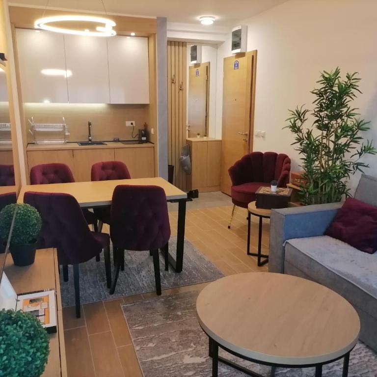 Prestige Forest Zlatibor - Apartman s 1 Spavaćom Sobom i Balkonom - 22