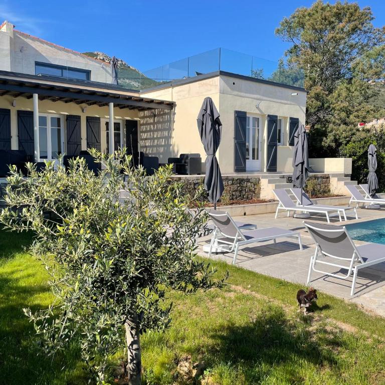 Villa de standing - Villa with Sea View - 43
