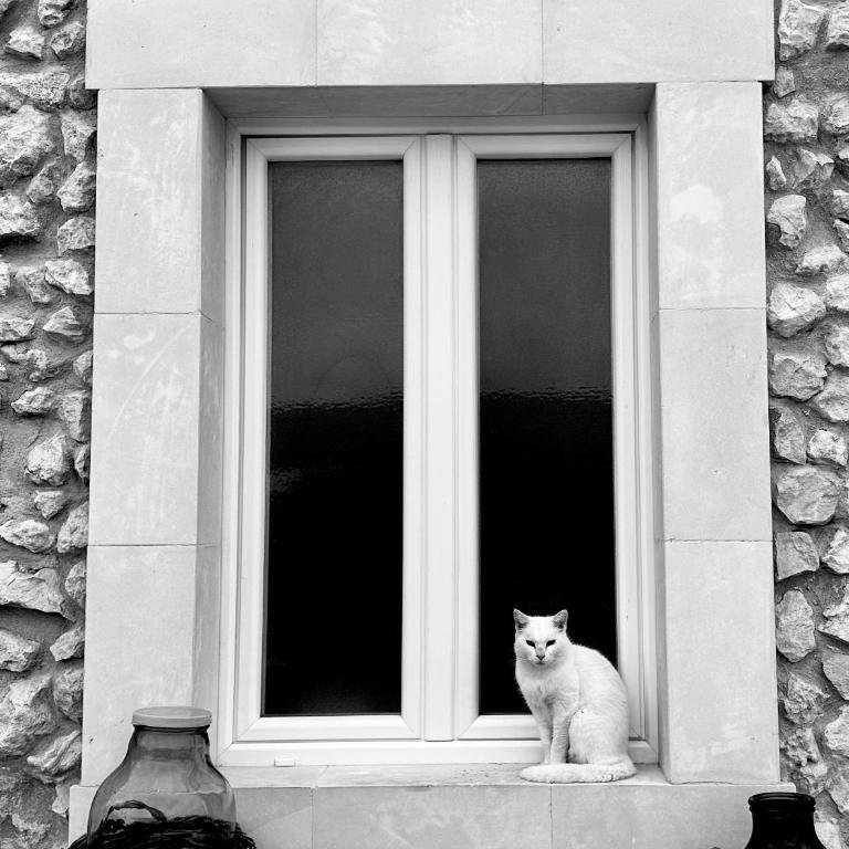 Casale 900 Country House - Camera Matrimoniale - 10
