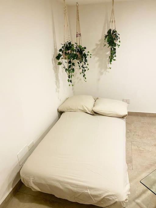 ancient open space nel centro storico Padovano - Appartamento con 2 Camere da Letto - 50