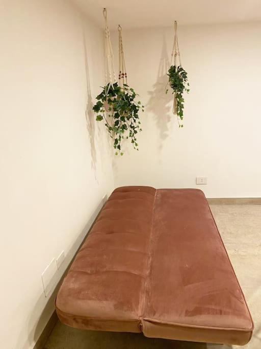 ancient open space nel centro storico Padovano - Appartamento con 2 Camere da Letto - 52