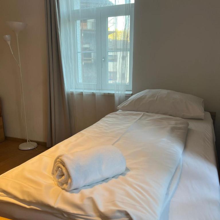 Traditional Apartments Salzburg - Apartment mit 2 Schlafzimmern - 9