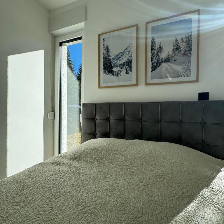 PineTree Jahorina - One-Bedroom Apartment - 29