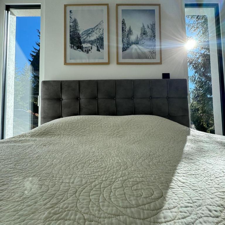 PineTree Jahorina - One-Bedroom Apartment - 28