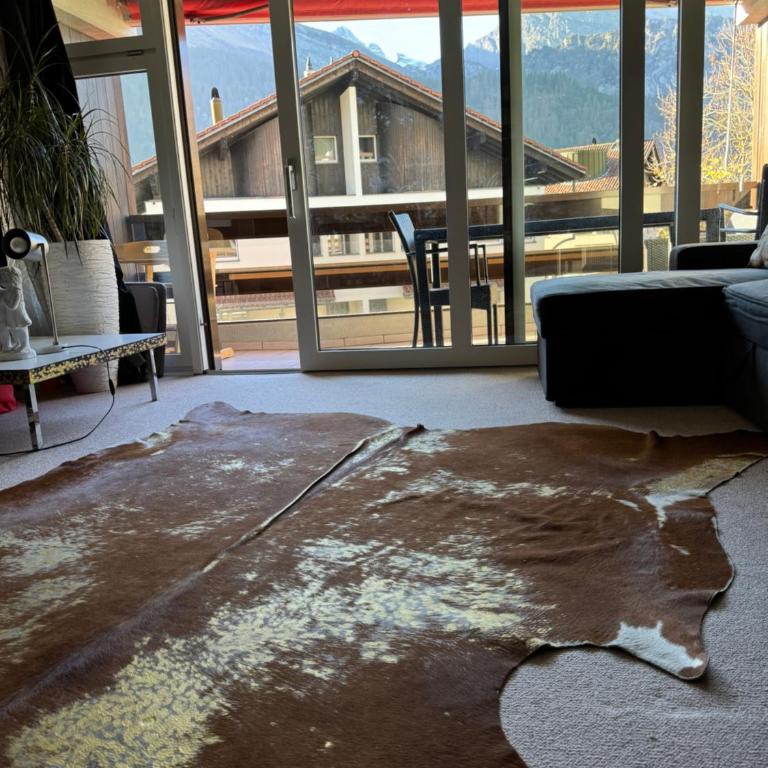 Sehr Schöne Wohnung in Engelberg - Apartment mit 1 Schlafzimmer - 71