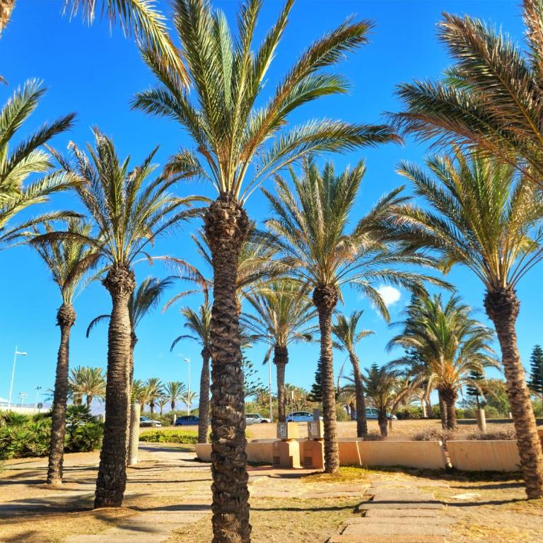 MAR y SOL, Retamar, Cabo de Gata - Apartamento de 2 dormitorios - 31