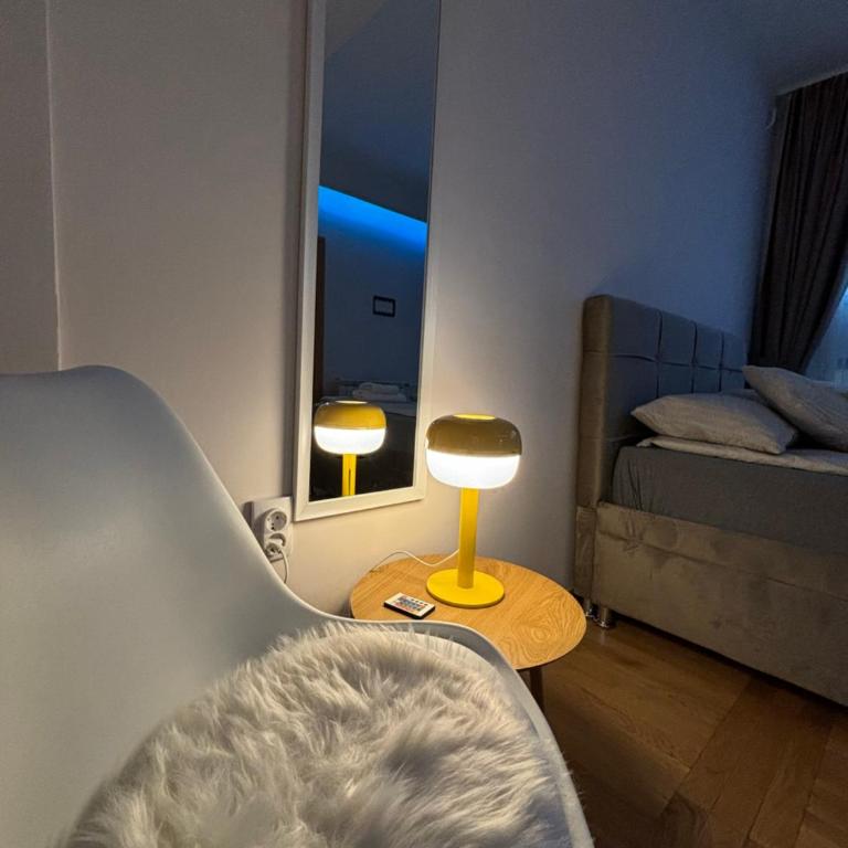 Lux Vracar by Magenta - Apartman sa 1 Spavaćom Sobom - 10