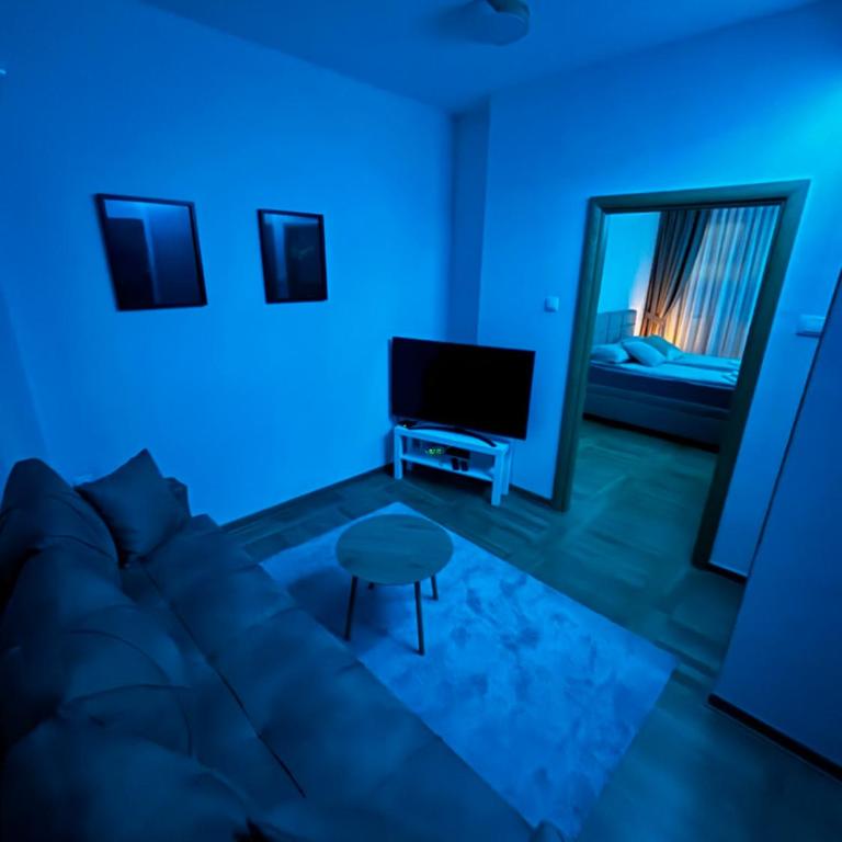 Lux Vracar by Magenta - Apartman sa 1 Spavaćom Sobom - 14