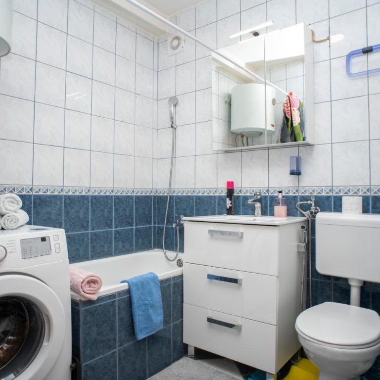 Apartment "Vilsonovo" free parking - Apartman sa 1 Spavaćom Sobom - 12