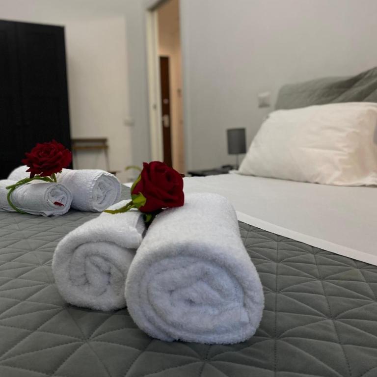Red Roses Domus Rome - Appartamento con 1 Camera da Letto - 44