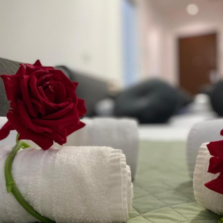 Red Roses Domus Rome - Appartamento con 1 Camera da Letto - 37