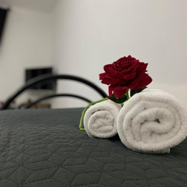 Red Roses Domus Rome - Appartamento con 1 Camera da Letto - 46