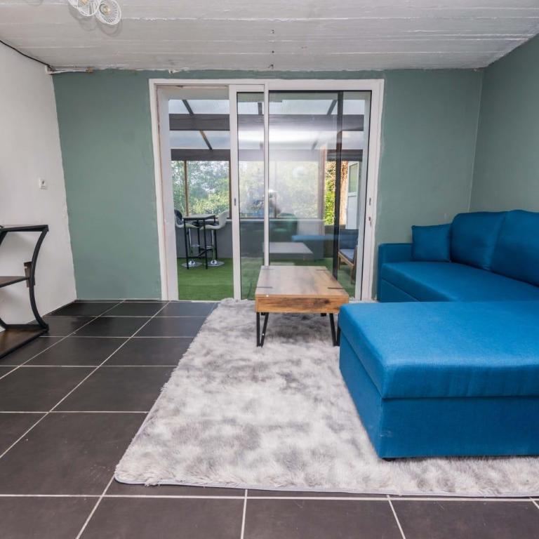 SPA hyper centre avec jardin - Appartement 1 Chambre - 3