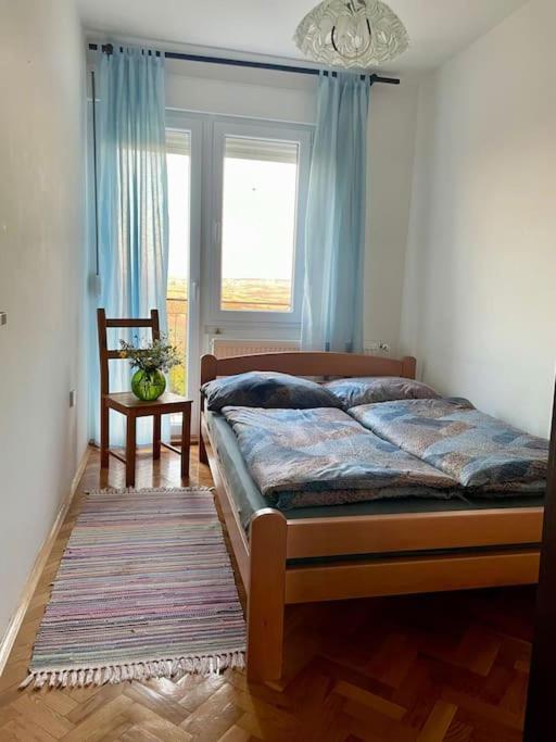 Apartment with beautiful view of Avala Mountain 3 rooms for 6 guests max SRB, DE, EN - Apartman sa 3 Spavaće Sobe - 7