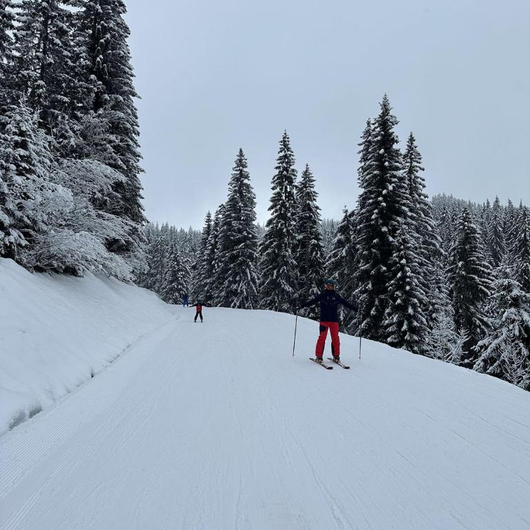 Duplex skis aux pieds centre village - 6 couchages - 2 salles de bain - Appartement 2 Chambres - 20