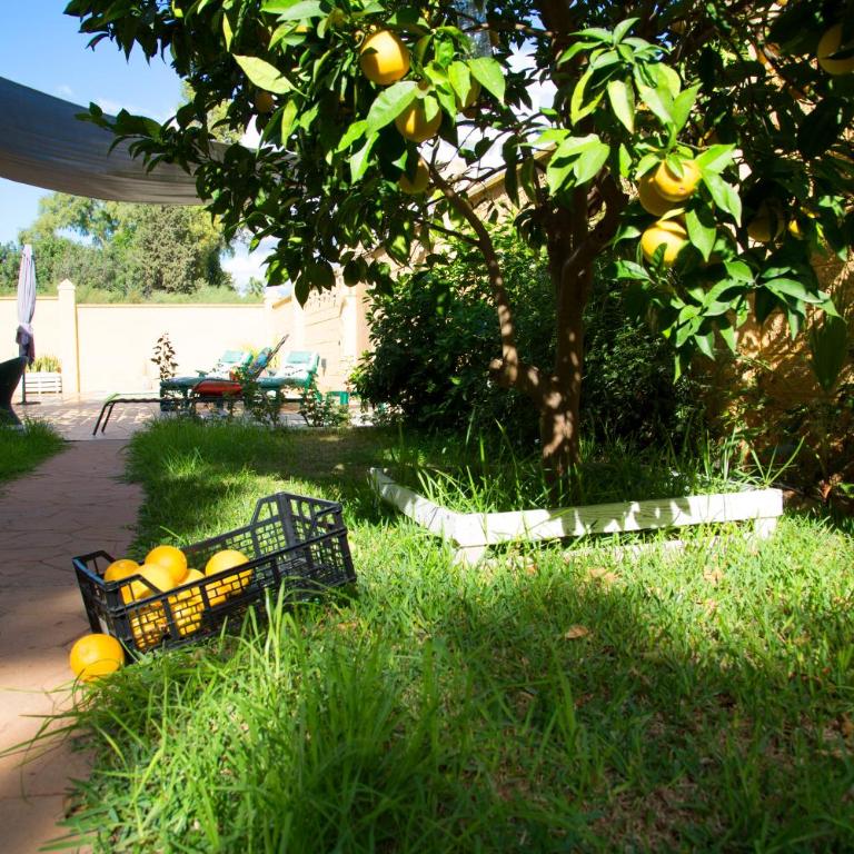 El Regreso el Pinar - Apartamento de 1 dormitorio con jardín - 6